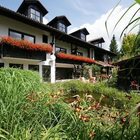 Pension Sonneneck Zwiesel Extérieur photo